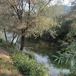Leona1 * Siroki Brijeg