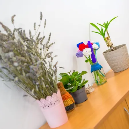 Leona1 Apartman *