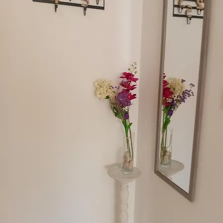 Leona1 * Široki Brijeg